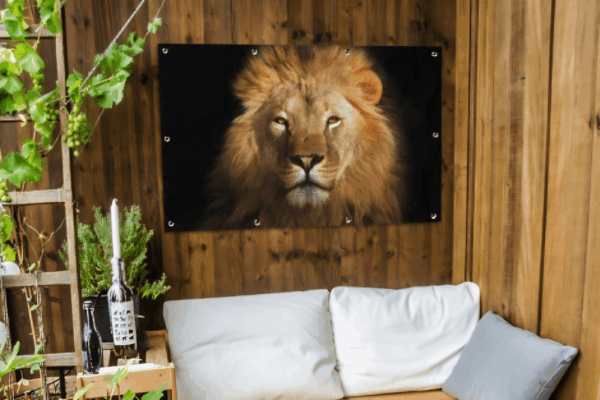 Tuinposter Leeuw op zwarte achtergrond