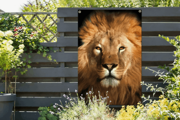 Tuinposter Leeuw op zwarte achtergrond
