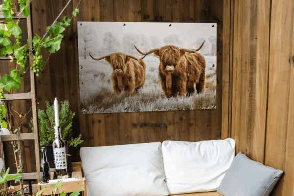 Tuinposter Schotse Hooglanders natuur