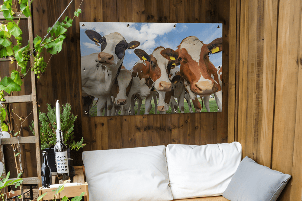 Tuinposter Nieuwsgierige Koeien
