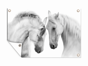 Tuinposter witte paarden