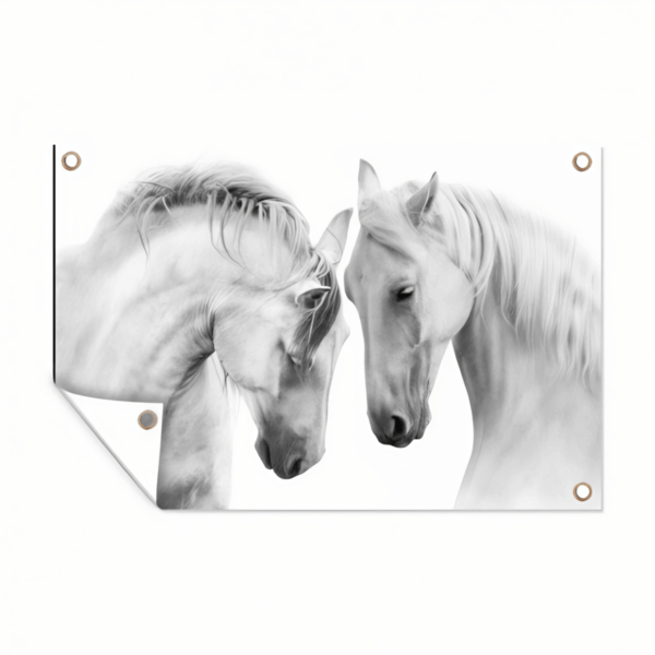 Tuinposter witte paarden
