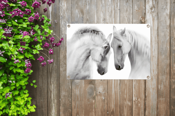 Tuinposter witte paarden