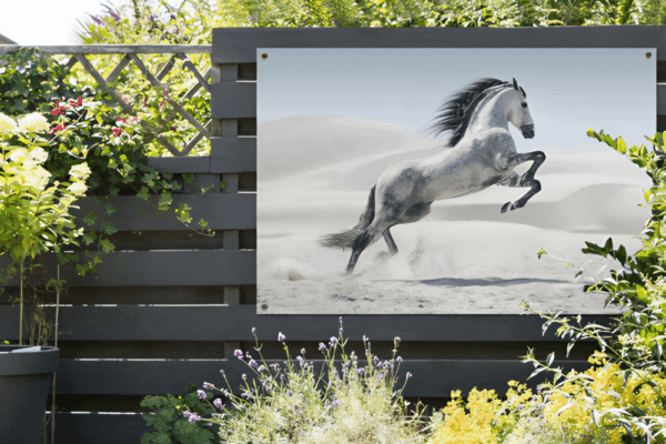 Tuinposter Paard stijgeren.