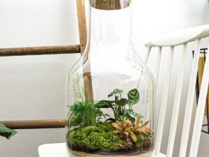 Terrarium Diy Kit Long Tom Xl