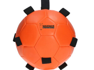 Excellent Horse Fun Play Ball.Oranje