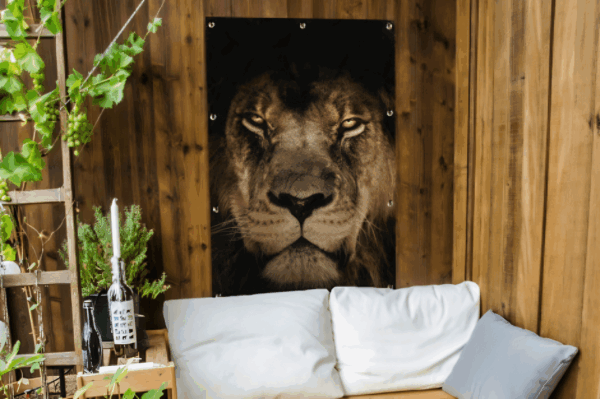 Tuinposter Leeuw op zwarte achtergrond.