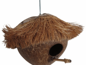 Vogelhuisje Kokosnoot.