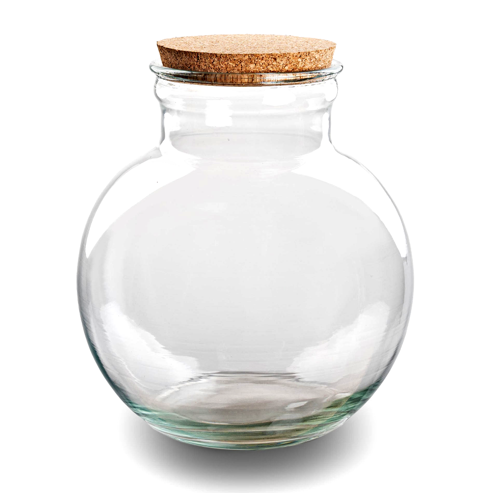 Terrarium met Kurk – Teddy – Gesloten Terrarium