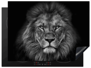 inductiebeschermer zwart-wit leeuw