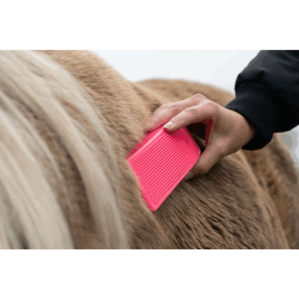 Package Deal Excellent Grooming Brush - Afbeelding 3
