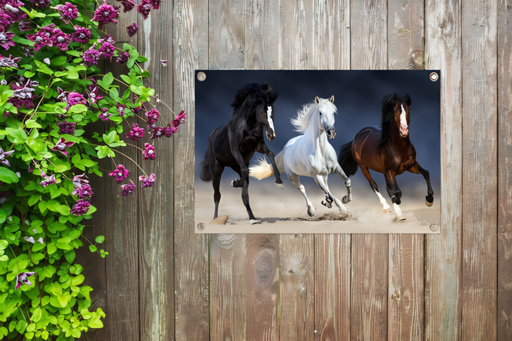 Tuinposter 3 galopperende Paarden.