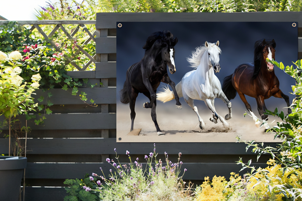 Tuinposter 3 galopperende Paarden.