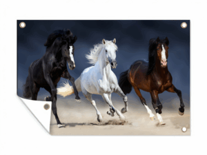Tuinposter 3 galopperende Paarden.