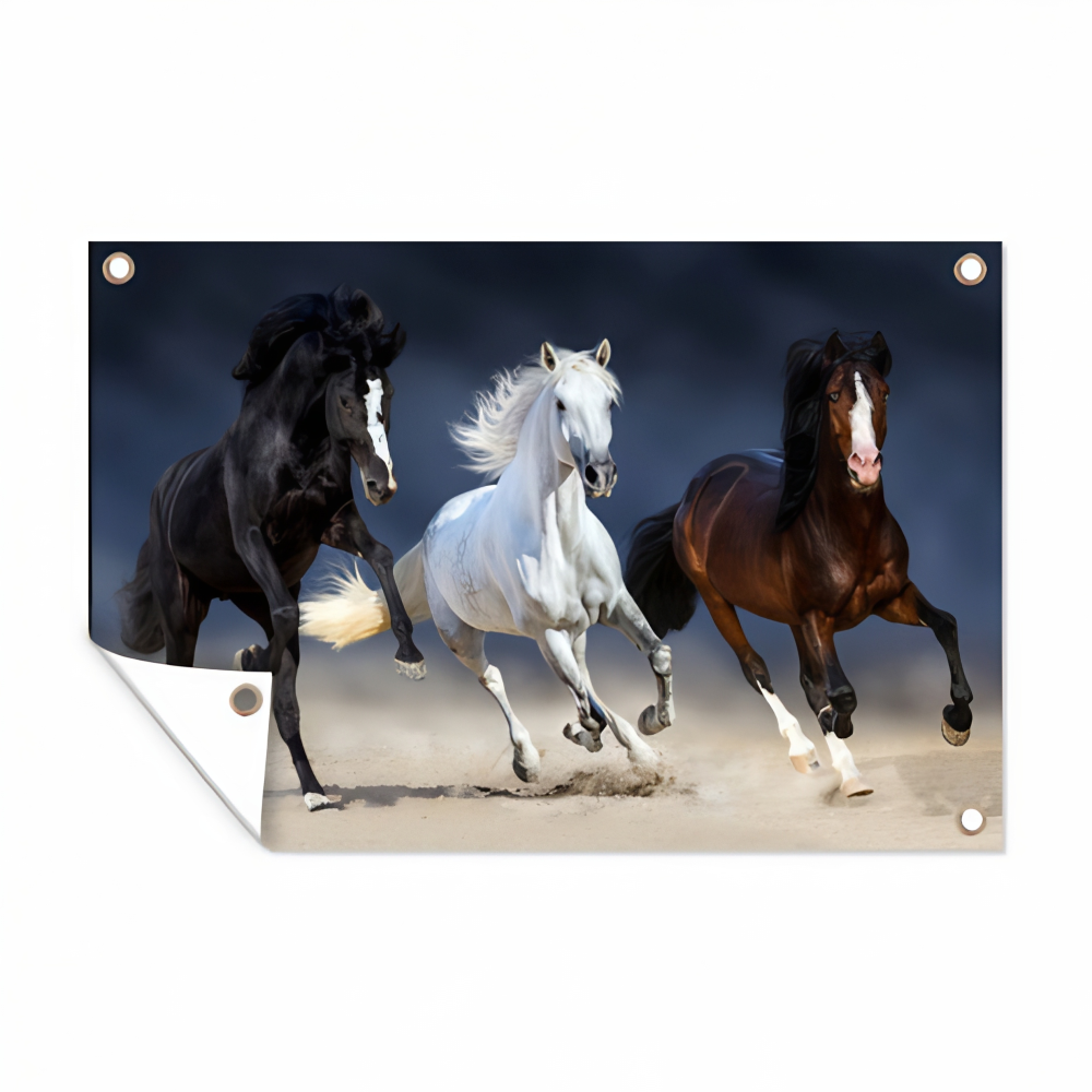 Tuinposter 3 galopperende Paarden.