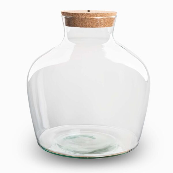Terrarium With Cork - Fat Joe + Led Cork - Closed Terrarium ↑ 30 Cm - Afbeelding 2