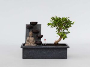 Bonsai Arrangement Buddha Waterval