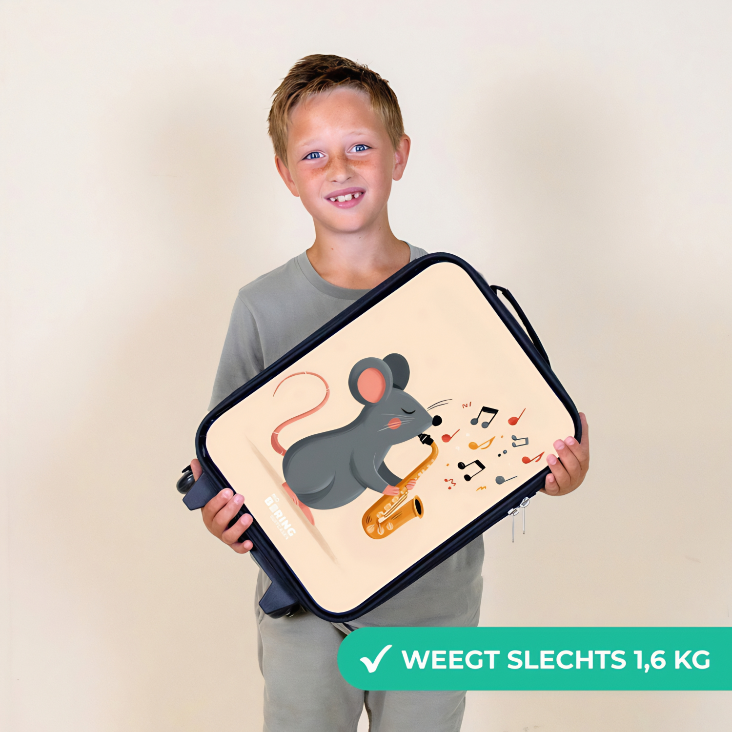 Grijze muis met saxofoon koffer