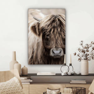 Schotse Hooglander Hoorn op Canvas