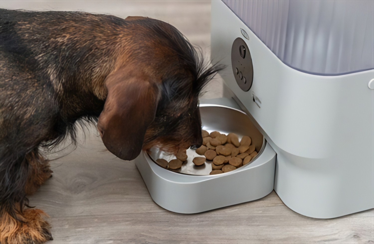 Voerautomaten voor Honden.