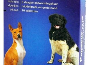 Panacur Hond / Kat