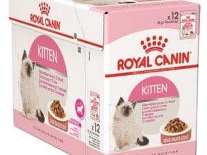 Royal Canin Wet Kitten